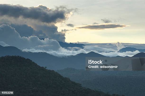 Foto de Floresta Nublada e mais fotos de stock de Amazônia peruana - Amazônia peruana, Azul, Bosque - Floresta