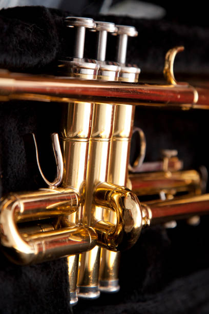 istock valves on a trumpet 931535088