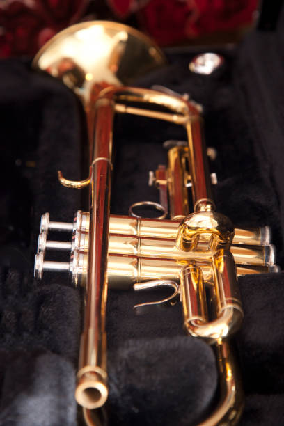istock beautiful trumpet in case 931535090