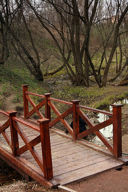 el puente de madera - pond athwart footbridge bridge fotografías e imágenes de stock