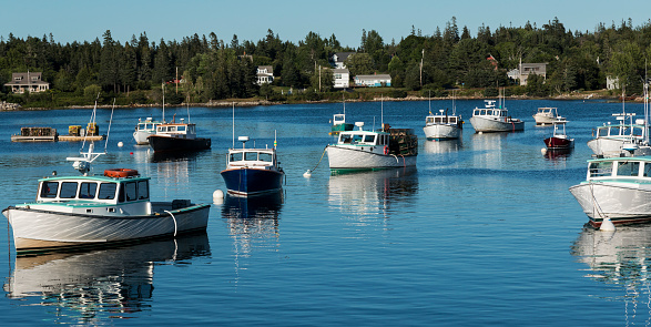 View of fishing boats that are moored in Bass Harbor at dusk, with land and houses in the back ground.