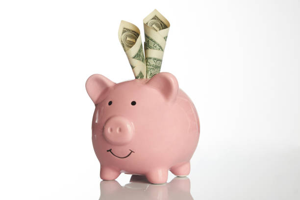 istock Pink piggy bank with US dollar bills on a white background 931537376