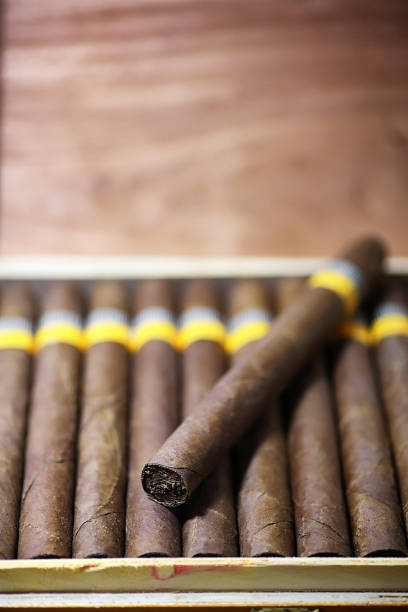 istock large wooden box of cigars handmade Cuban 931542624