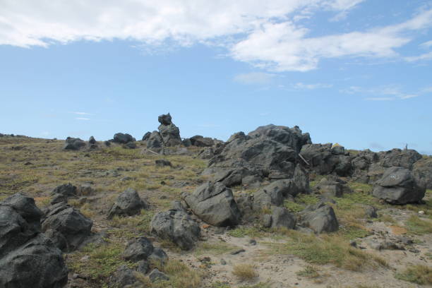istock Landscape of Aruba 931542810