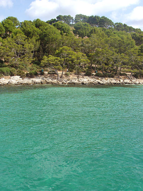 türkis strand in mallorca island - espaa stock-fotos und bilder