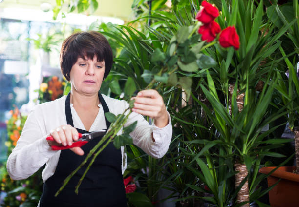 istock Shop assistant showing best roses 931550768