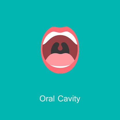 Open Mouth with Teeth and Tongue line icon isolated on background. Dental concept. Symbol of communication. Illustration for info graphics, websites and print media. Vector flat icon.