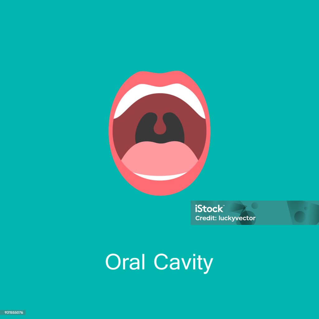 Line icon mouth with teeth. Open Mouth with Teeth and Tongue line icon isolated on background. Dental concept. Symbol of communication. Illustration for info graphics, websites and print media. Vector flat icon. Mouth stock vector