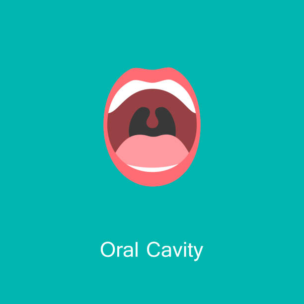Line icon mouth with teeth. Open Mouth with Teeth and Tongue line icon isolated on background. Dental concept. Symbol of communication. Illustration for info graphics, websites and print media. Vector flat icon. shouting illustrations stock illustrations