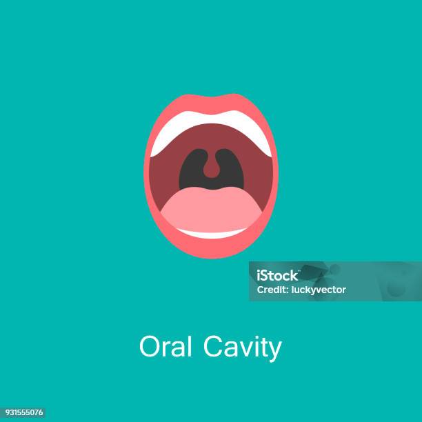 Line Icon Mouth With Teeth Stock Illustration - Download Image Now - Mouth, Icon Symbol, Tongue