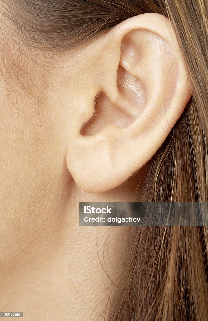 brunette girl ear  Adult Stock Photo