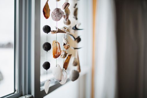 art and craft, seashell, window, home decoration