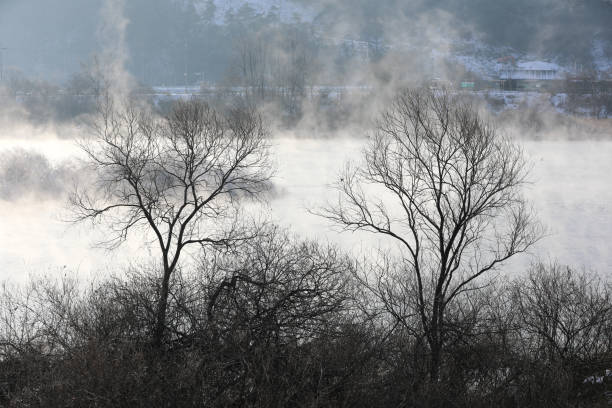 istock Trees and reeds are covered with snow, and the river has water mist.(Soyang River, Chuncheon City, Korea) 931559484