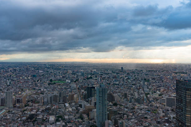 istock Aerial view of Tokyo 931559964