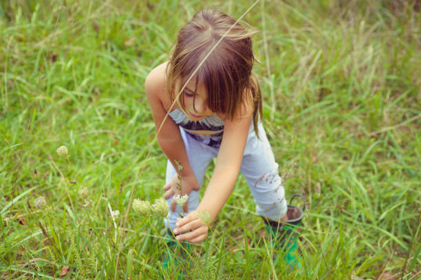 istock Among the Wildflowers 931560176