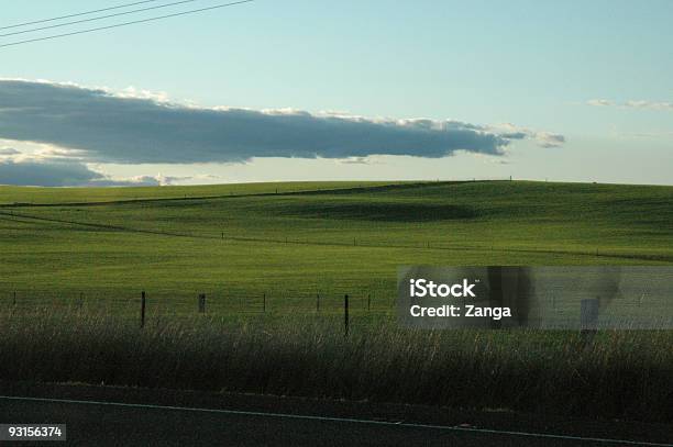Foto de Green Colinas e mais fotos de stock de Austrália - Austrália, Branco, Cena Rural