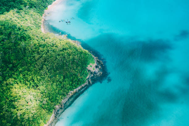 Aerial of Cape Tribulation, Australia Gorgeous view of the Cape of Tribulation, Australia. Port Douglas is a small fishing town outside of Cairnes on the Northeastern end of Australia. coral sea photos stock pictures, royalty-free photos & images