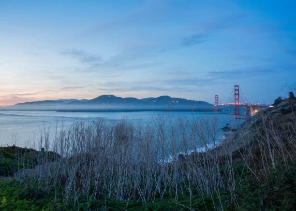 istock Golden Gate bridge and San Francisco Bay 931570022