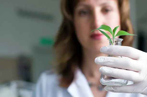 woman scientist watching a plant in test tube