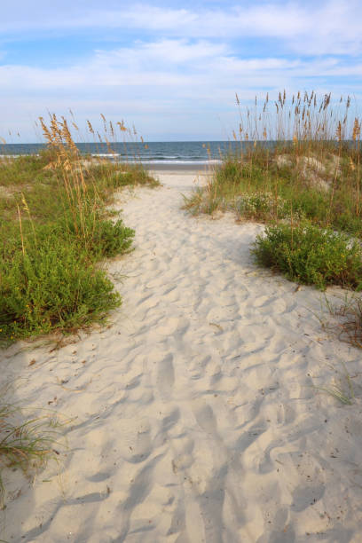 Path to the atlantic ocean beach. stock photo