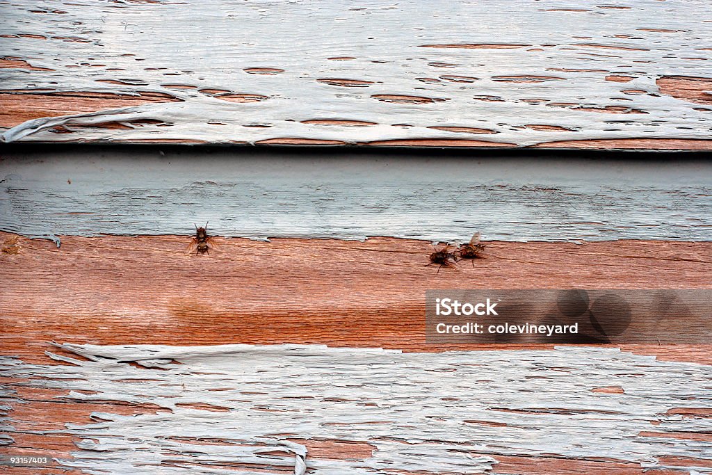 Fliegen auf Holz - Lizenzfrei Alt Stock-Foto