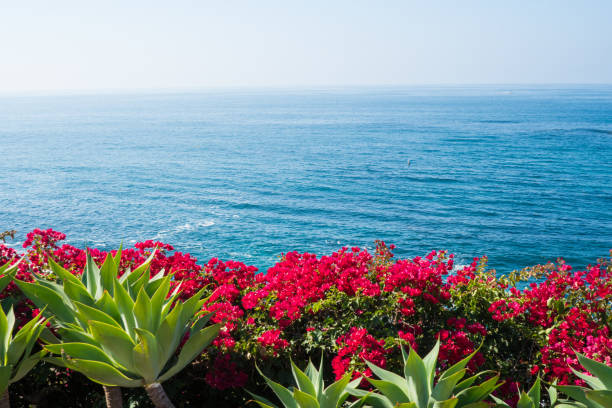 istock Beautiful Laguna Beach, Southern California 931575448