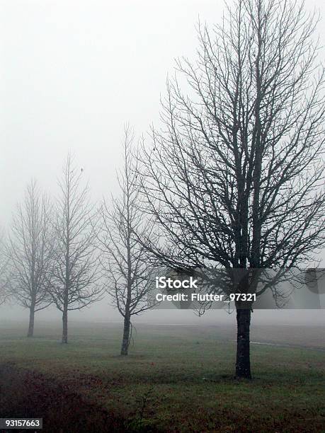 Туман Утром — стоковые фотографии и другие картинки Без людей - Без людей, Белый, Вертикальный