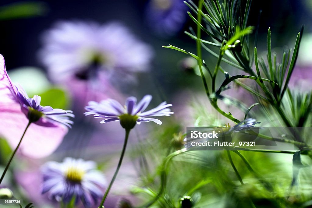 연두빛 꽃 - 로열티 프리 0명 스톡 사진