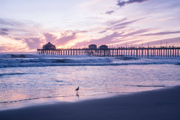 istock Gorgeous Huntington Beach Sunset 931579100