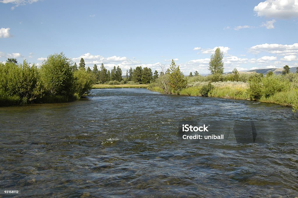 wyoming 1 tributary of the snake river Bubble Stock Photo