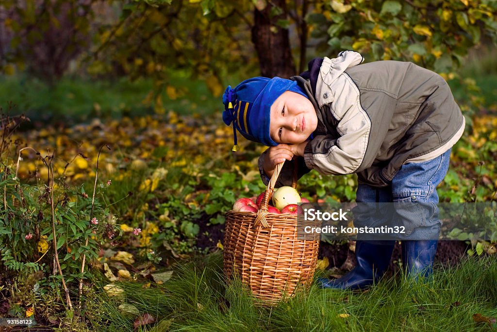 Menino posando ao ar livre com maçãs - Foto de stock de Adolescente royalty-free
