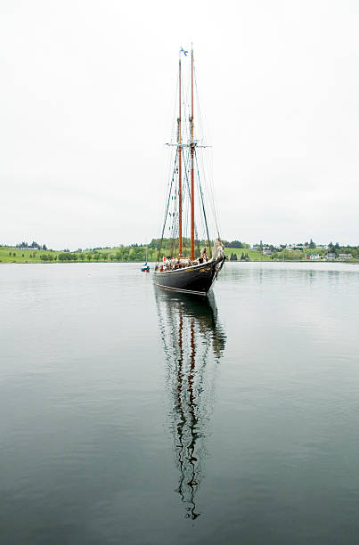schooner from front with reflections stock photo