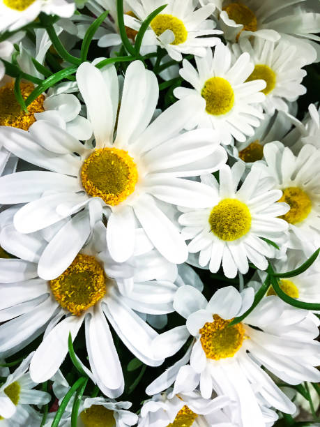 istock Background of artificial flowers 931583208