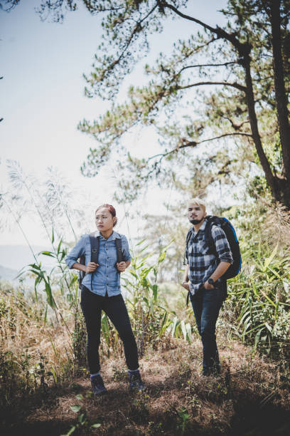 istock Couple hiking through forest to the mountaintop. 931583334