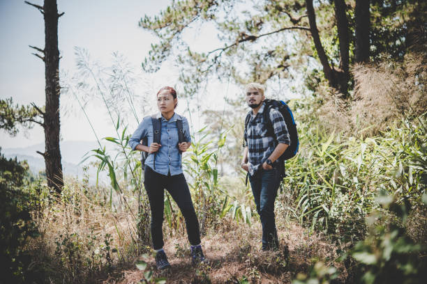 istock Couple hiking through forest to the mountaintop. 931583368
