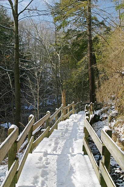 Winter Boardwalk - Youngstown, Ohio  youngstown stock pictures, royalty-free photos & images