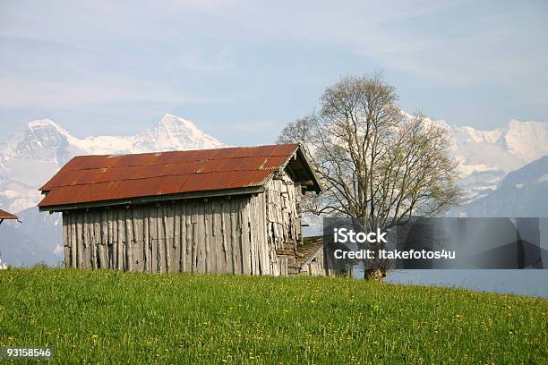Alpes Suíços - Fotografias de stock e mais imagens de Admirar a Vista - Admirar a Vista, Alpes Europeus, Alpes suíços
