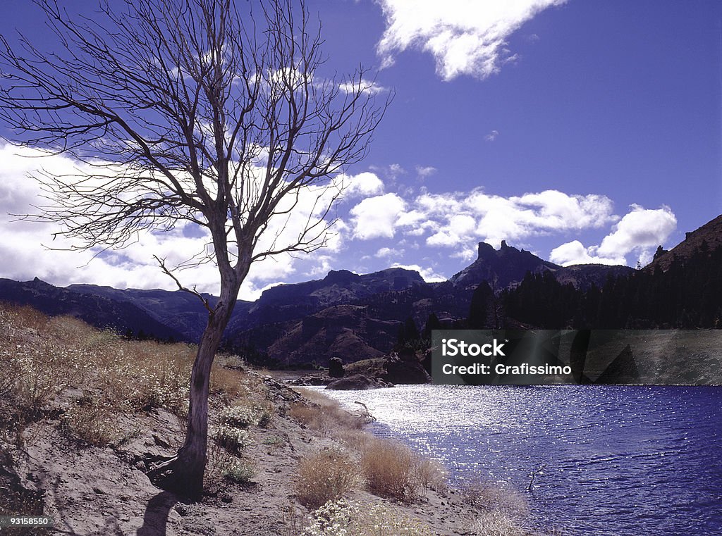 Céu azul sobre Vale da Argentina - Royalty-free América do Sul Foto de stock