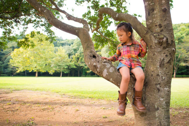 istock Little girl sitting on a tree 931586180