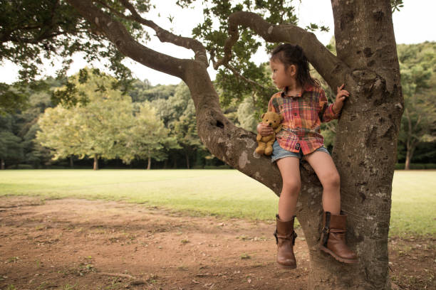 istock Little girl sitting on a tree 931586696