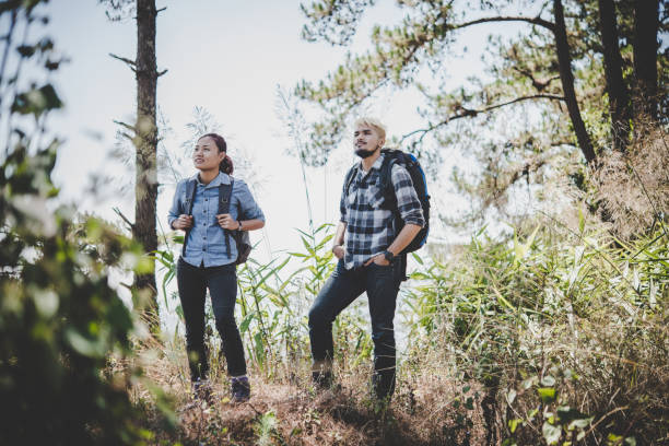 istock Couple hiking through forest to the mountaintop. 931586720