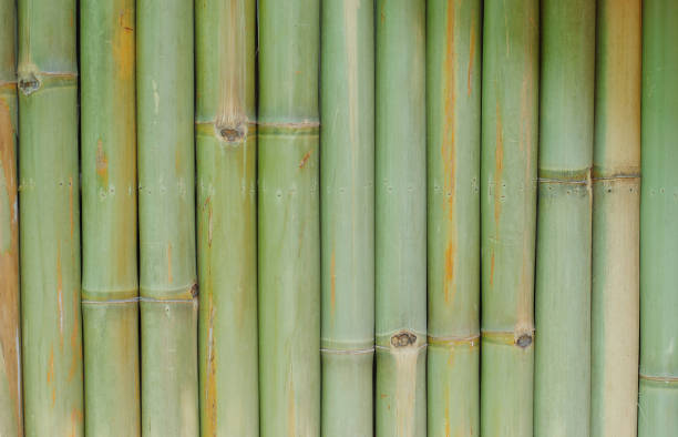 istock bamboo wall background texture pattern brown nature garden house wallpaper line 931586804