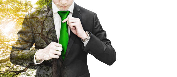 istock Double exposure businessman tying green necktie and big tree with sunlight, on white background with copy space 931587320