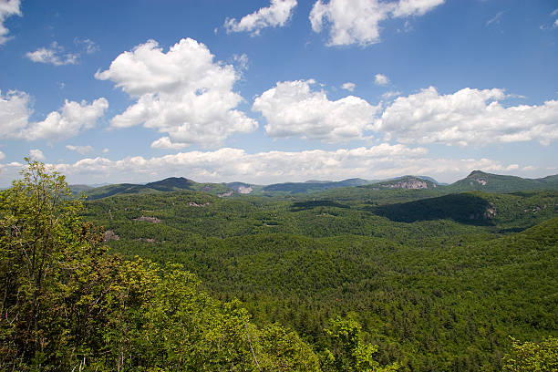 floresta nacional de nantahala na carolina do norte - blue ridge mountains appalachian mountains appalachian trail forest imagens e fotografias de stock