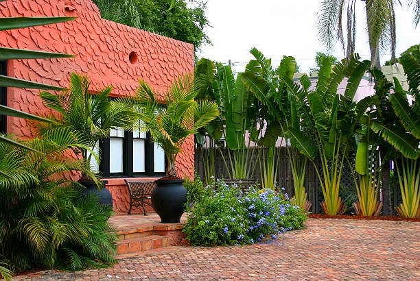 adobe casa nos trópicos - full length florida tropical climate residential structure - fotografias e filmes do acervo