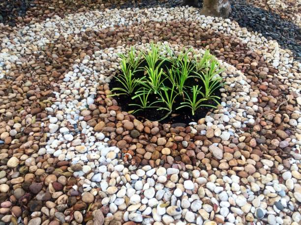 istock Heap of pebble stone with green plants 931588476