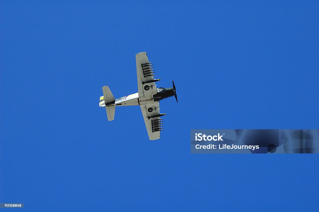 Guerra da Coréia-era Douglas Skyraider - Royalty-free Asa de aeronave Foto de stock