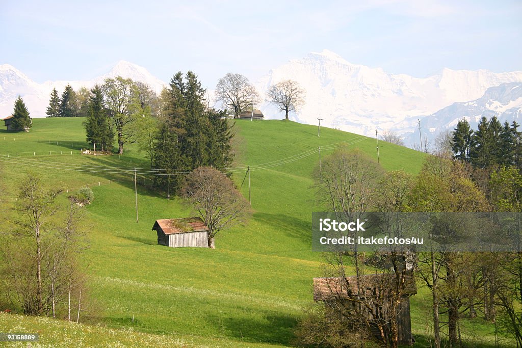 Swiss пейзаж - Стоковые фото Амбар роялти-фри