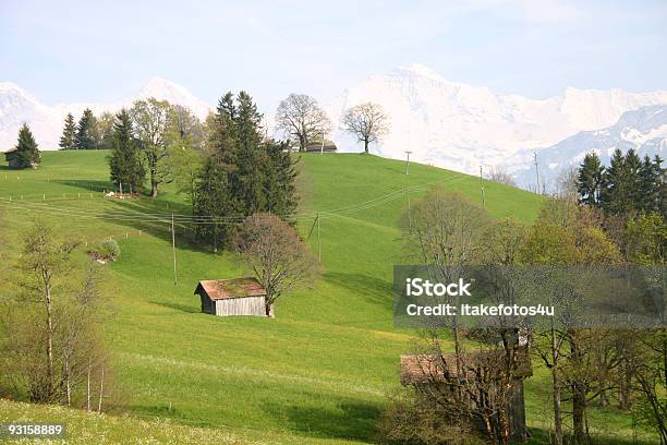 Swiss Пейзаж — стоковые фотографии и другие картинки Амбар - Амбар, Без людей, Весна