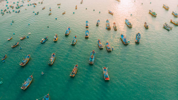 вид с воздуха на рыбацкие лодки в заливе - fishing промышленность стоковые фото и изображения